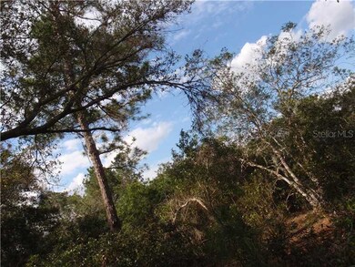 Land/Lot