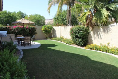 Lush backyard