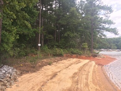 Lot 84 Peninsula Pointe, West Union, SC 29696 - photo 3