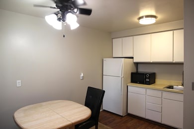 4190 Packard St unit 4, Ann Arbor, MI 48108 - photo 6