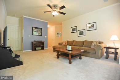 1515 N Point Dr unit 102, Reston, VA 20194 - photo 7