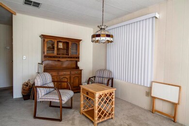 1010 Palm Canyon Dr unit 159, Borrego Springs, CA 92004 - photo 6