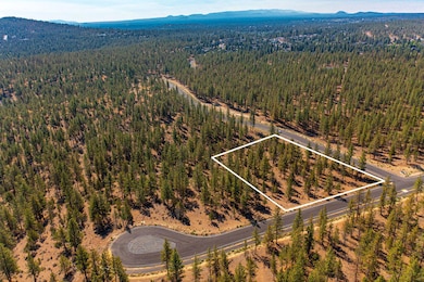 RileyVisuals-60jpg10