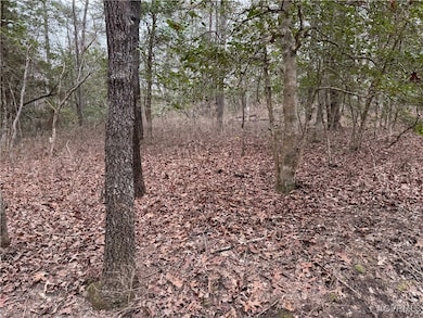 View of local wilderness