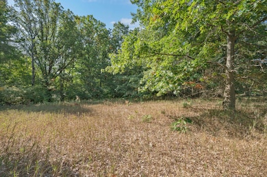 Lot 10 University Club Dr, Big Rapids Township, MI 49307 - photo 2