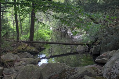 Cushman Brook