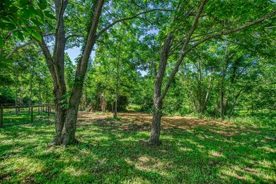 Trees Behind Main Home