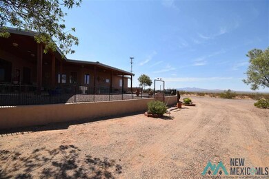 10590 Highway 549 SE, Deming, NM 88030 - photo 4