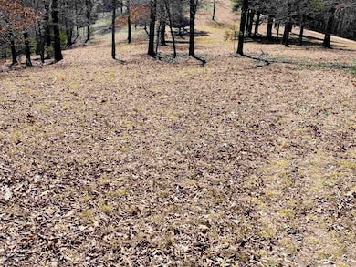 Lots 6,7,8 River Bend Ridge, Calico Rock, AR 72519 - photo 7