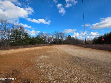 0 B J Woodson Ln unit 2505592, Clifton, TN 38425 - photo 4