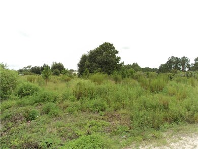 35315 Broken Bit Ln, Zephyrhills, FL 33541 - photo 3