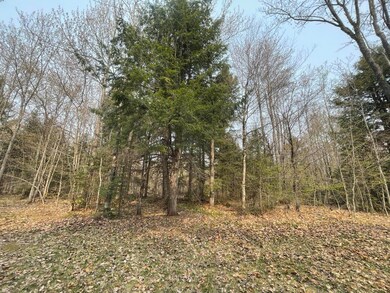 Woods