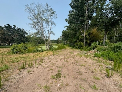 0 Us Hwy 17 unit 327199, Townsend, GA 31331 - photo 4