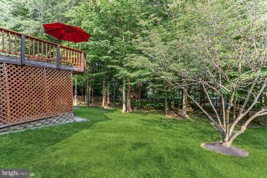 7707 Modisto Ln, Springfield, VA 22153 - photo 4