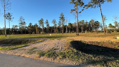 20039 Kincaid Dr, Conroe, TX 77306 - photo 2