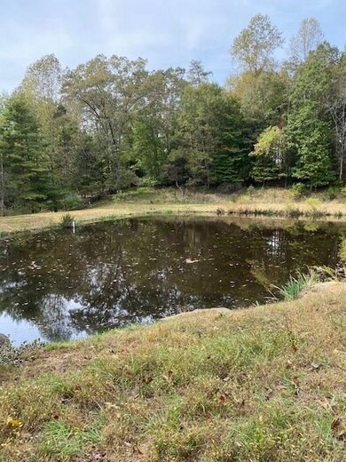 00 Doctors Crossing, Charlottesville, VA 22911 - photo 3