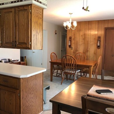 1101 W Saint Anthony Ave, Effingham, IL 62401 - photo 7