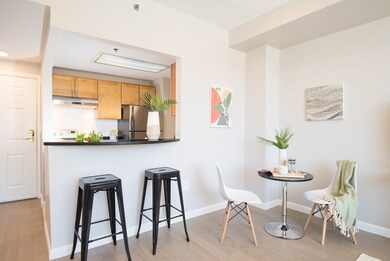 169 Monsignor Obrien Hwy unit 303, Cambridge, MA 02141 - photo 3