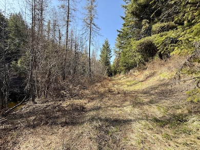 TBD Giveout Creek Rd, Wauconda, WA 98859 - photo 3