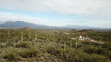 Broken Spring 1-30-19 (15)