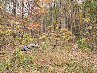 12522 Turkey Farm Rd, Huntingdon, PA 16652 - photo 2