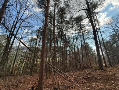 Lot 3 Parksville Rd, Benton, TN 37307 - photo 5