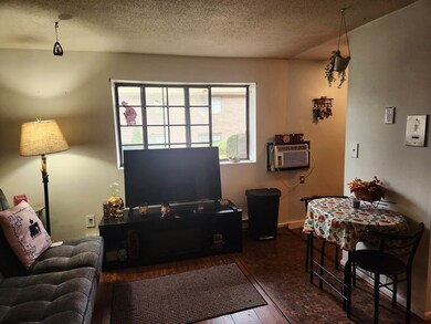 1003 N Main St unit 3A, Randolph, MA 02368 - photo 4