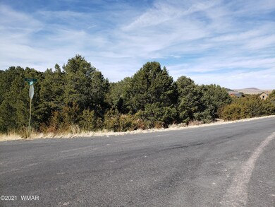 Corner of Spruce and Lesuerur