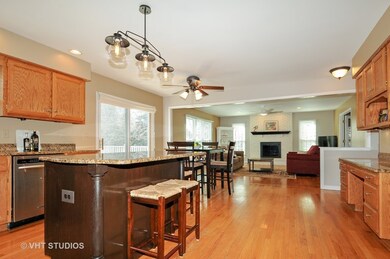 3920 Falcon Dr, Naperville, IL 60564 - photo 4