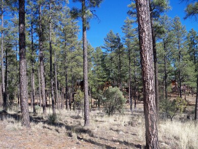 100_2831.JPG