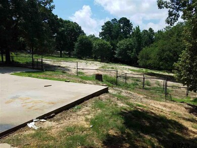 10856 County Road 2219, Tyler, TX 75707 - photo 7