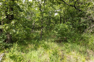 S 145th East Ave, Bixby, OK 74008 - photo 6