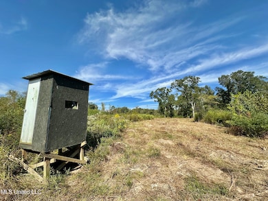 0 Highway 35 unit 4126739, Walnut Grove, MS 39189 - photo 3