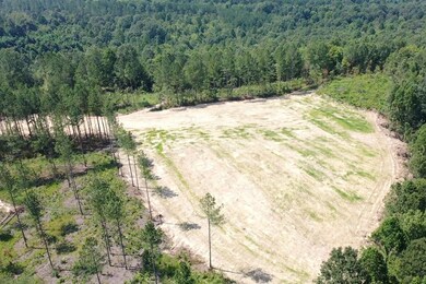 0 Huffman Rd unit 24251649, Sunbright, TN 37872 - photo 6