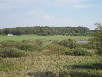 W10295 Badger Ave, Spencer, WI 54479 - photo 5