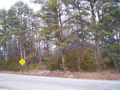 0 Wilburn Rd unit 10376726, Heber Springs, AR 72543 - photo 5