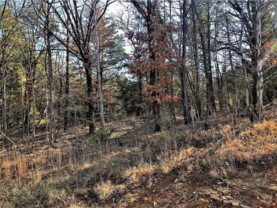 596 Sycamore Hills Loop, Gordonville, TX 76245 - photo 5