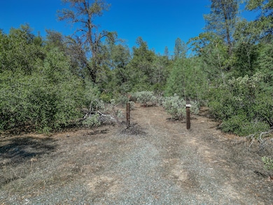 12694 Walker Mine Rd, Redding, CA 96003 - photo 3