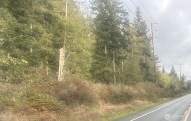 0 Forest View Ln, Greenbank, WA 98253 - photo 6