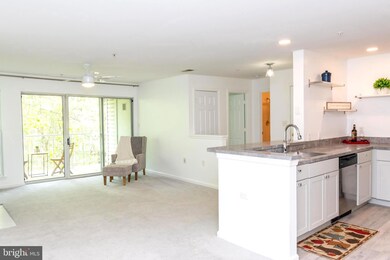 3402 Bitterwood Place unit B202, Laurel, MD 20724 - photo 3