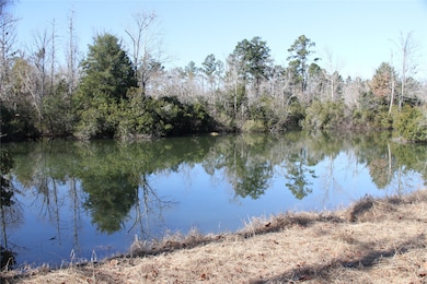 63 N Smith Loop, Cleveland, TX 77327 - photo 2