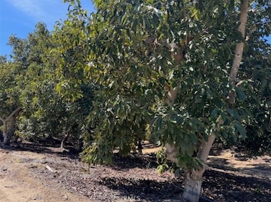 1 Monte Rancho Dr, Temecula, CA 92590 - photo 3