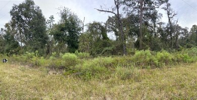 unlisted-address, Dunnellon, FL 34431 - photo 7
