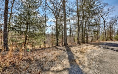 161 Old Toccoa Farm, Mineral Bluff, GA 30559 - photo 7