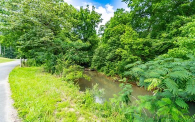 2 Creeks on Property Lines