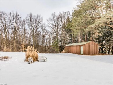 Outbuilding and rear yard