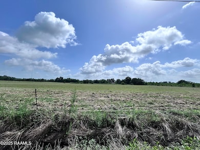 TBD Sonnier Rd unit 3-D, Church Point, LA 70525 - photo 7