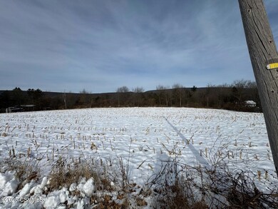 0 Reber Rd, West Buffalo Township, PA 17844 - photo 2