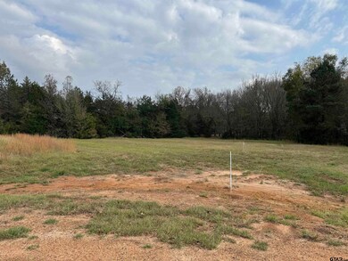 Lot 16 Hunters Hollow Dr, Mount Vernon, TX 75457 - photo 2