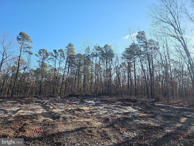 1930 Mccall Ave, Mays Landing, NJ 08330 - photo 4